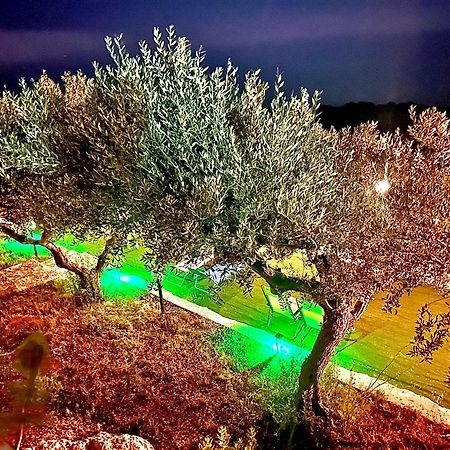 帕尔马迪蒙泰基亚罗La Collina Sul Mare住宿加早餐旅馆 外观 照片