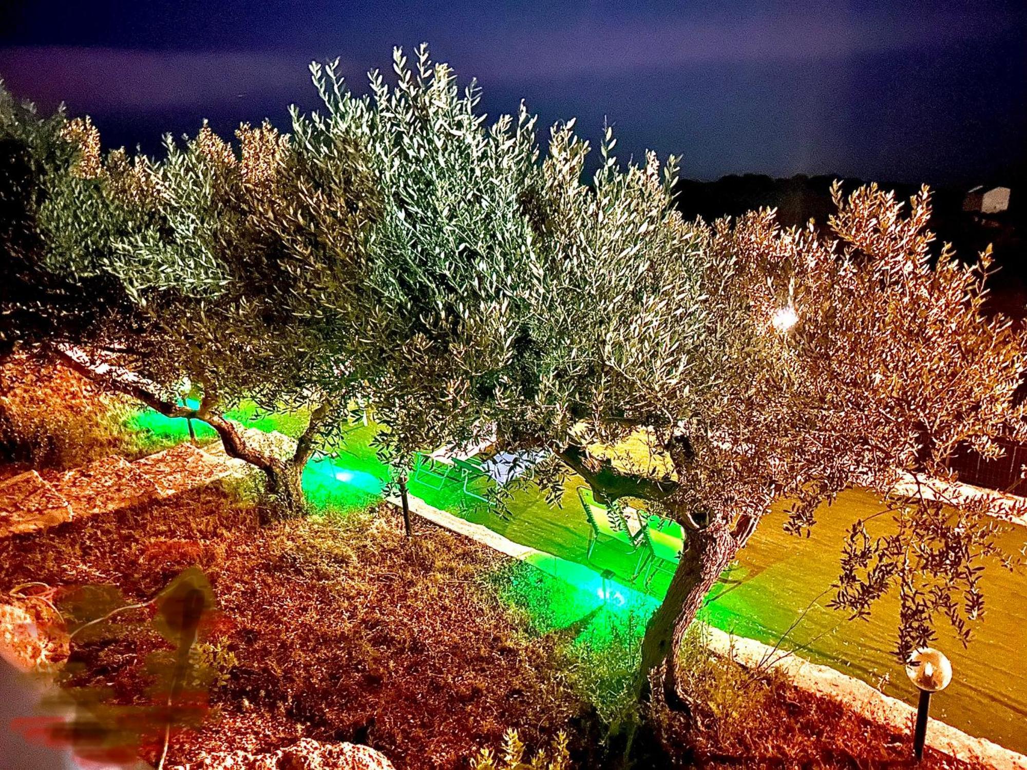 帕尔马迪蒙泰基亚罗La Collina Sul Mare住宿加早餐旅馆 外观 照片