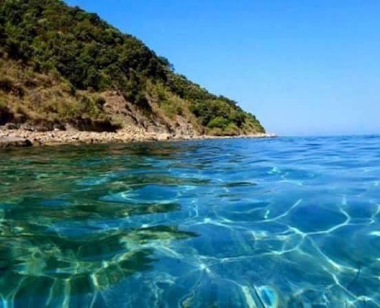 帕尔马迪蒙泰基亚罗La Collina Sul Mare住宿加早餐旅馆 外观 照片
